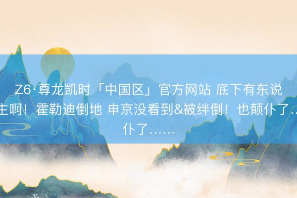 Z6·尊龙凯时「中国区」官方网站 底下有东说念主啊！霍勒迪倒地 申京没看到&被绊倒！也颠仆了……
