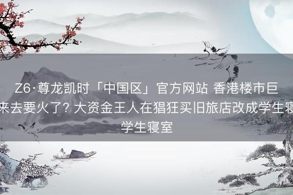 Z6·尊龙凯时「中国区」官方网站 香港楼市巨额来去要火了? 大资金王人在猖狂买旧旅店改成学生寝室
