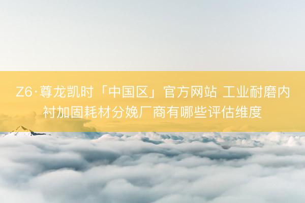 Z6·尊龙凯时「中国区」官方网站 工业耐磨内衬加固耗材分娩厂商有哪些评估维度