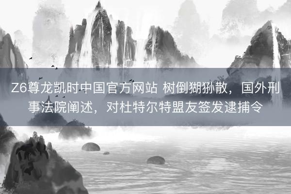 Z6尊龙凯时中国官方网站 树倒猢狲散，国外刑事法院阐述，对杜特尔特盟友签发逮捕令
