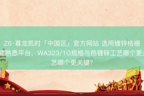 Z6·尊龙凯时「中国区」官方网站 选用镀锌格栅板搭建熟悉平台，WA323/1G规格与热镀锌工艺哪个更关键？