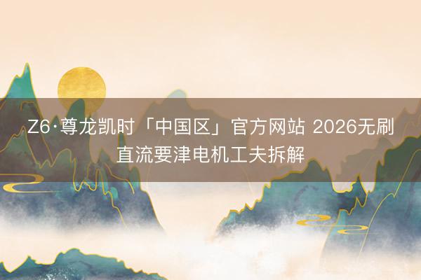 Z6·尊龙凯时「中国区」官方网站 2026无刷直流要津电机工夫拆解