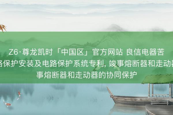 Z6·尊龙凯时「中国区」官方网站 良信电器苦求集成式电路保护安装及电路保护系统专利， 竣事熔断器和走动器的协同保护