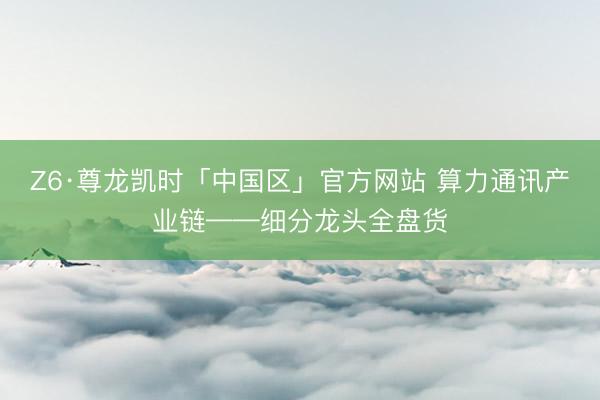 Z6·尊龙凯时「中国区」官方网站 算力通讯产业链——细分龙头全盘货