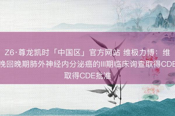 Z6·尊龙凯时「中国区」官方网站 维极力博：维利信挽回晚期肺外神经内分泌癌的III期临床询查取得CDE批准