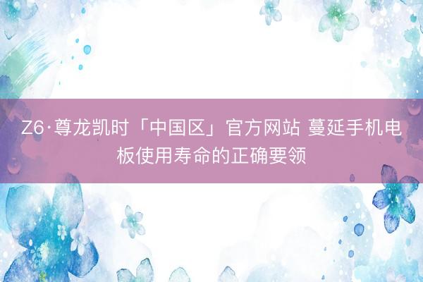 Z6·尊龙凯时「中国区」官方网站 蔓延手机电板使用寿命的正确要领
