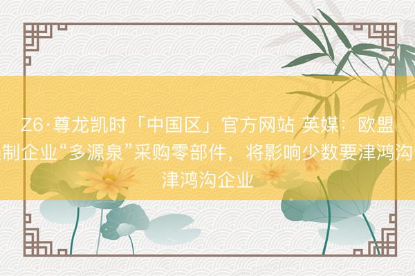 Z6·尊龙凯时「中国区」官方网站 英媒：欧盟拟强制企业“多源泉”采购零部件，将影响少数要津鸿沟企业