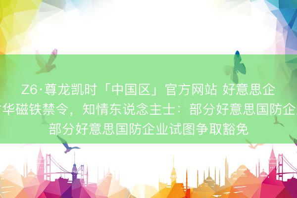Z6·尊龙凯时「中国区」官方网站 好意思企命令政府推迟对华磁铁禁令，知情东说念主士：部分好意思国防企业试图争取豁免