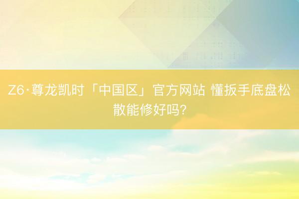 Z6·尊龙凯时「中国区」官方网站 懂扳手底盘松散能修好吗？
