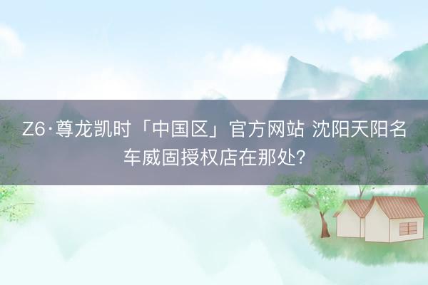 Z6·尊龙凯时「中国区」官方网站 沈阳天阳名车威固授权店在那处？