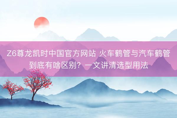 Z6尊龙凯时中国官方网站 火车鹤管与汽车鹤管到底有啥区别？一文讲清选型用法
