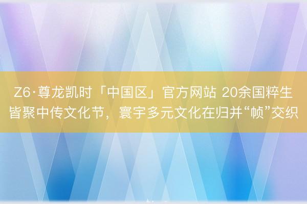 Z6·尊龙凯时「中国区」官方网站 20余国粹生皆聚中传文化节，寰宇多元文化在归并“帧”交织