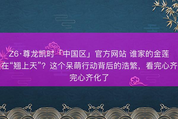 Z6·尊龙凯时「中国区」官方网站 谁家的金莲丫又在“翘上天”？这个呆萌行动背后的浩繁，看完心齐化了