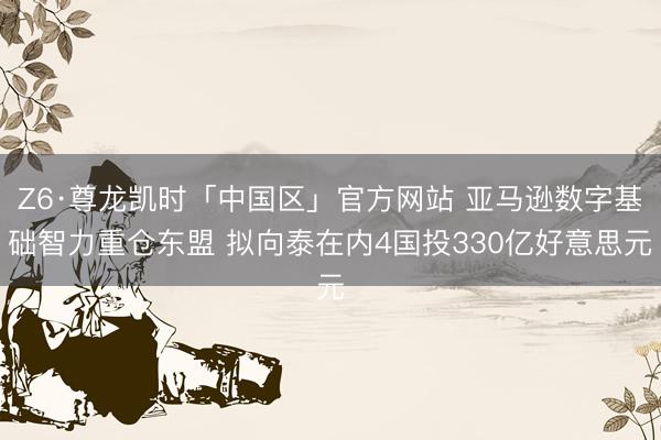 Z6·尊龙凯时「中国区」官方网站 亚马逊数字基础智力重仓东盟 拟向泰在内4国投330亿好意思元