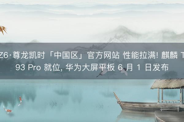 Z6·尊龙凯时「中国区」官方网站 性能拉满! 麒麟 T93 Pro 就位， 华为大屏平板 6 月 1 日发布