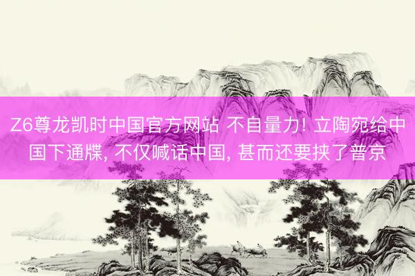 Z6尊龙凯时中国官方网站 不自量力! 立陶宛给中国下通牒， 不仅喊话中国， 甚而还要挟了普京