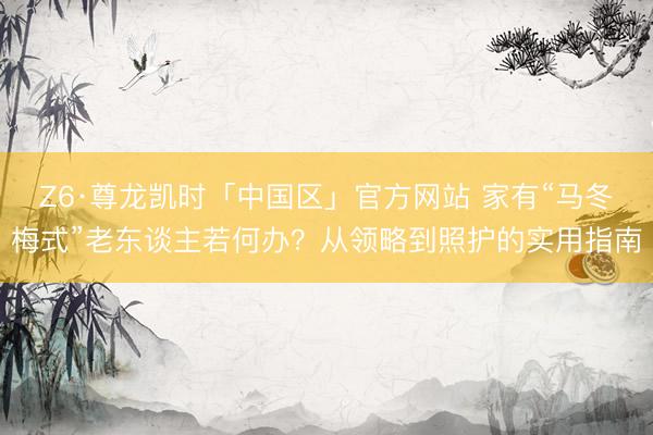 Z6·尊龙凯时「中国区」官方网站 家有“马冬梅式”老东谈主若何办？从领略到照护的实用指南