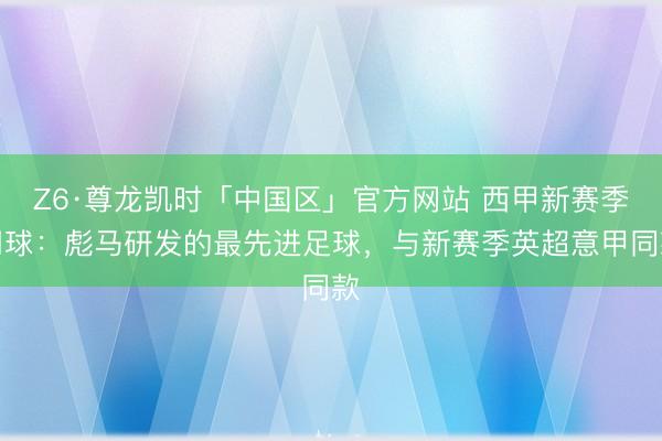 Z6·尊龙凯时「中国区」官方网站 西甲新赛季用球：彪马研发的