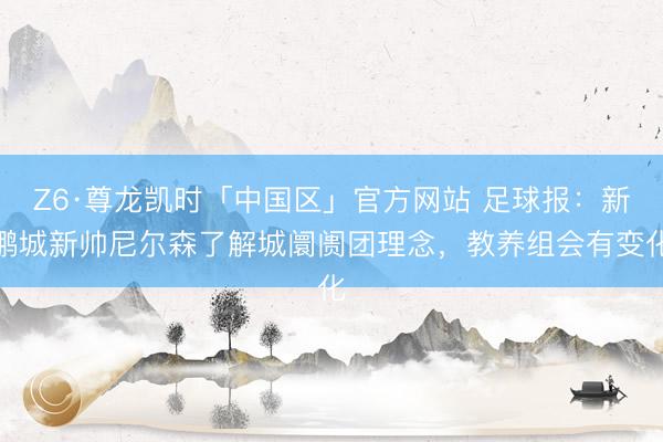 Z6·尊龙凯时「中国区」官方网站 足球报：新鹏城新帅尼尔森了解城阛阓团理念，教养组会有变化