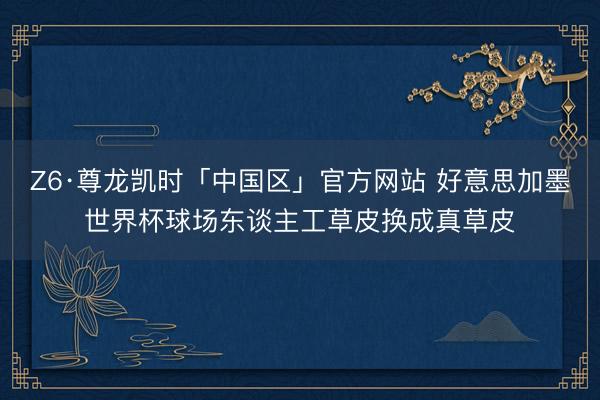 Z6·尊龙凯时「中国区」官方网站 好意思加墨世界杯球场东谈主工草皮换成真草皮