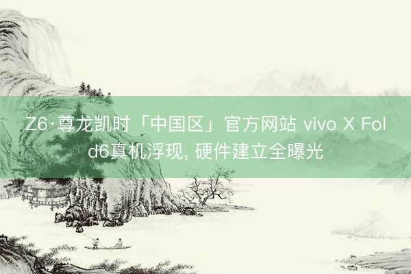 Z6·尊龙凯时「中国区」官方网站 vivo X Fold6真机浮现， 硬件建立全曝光