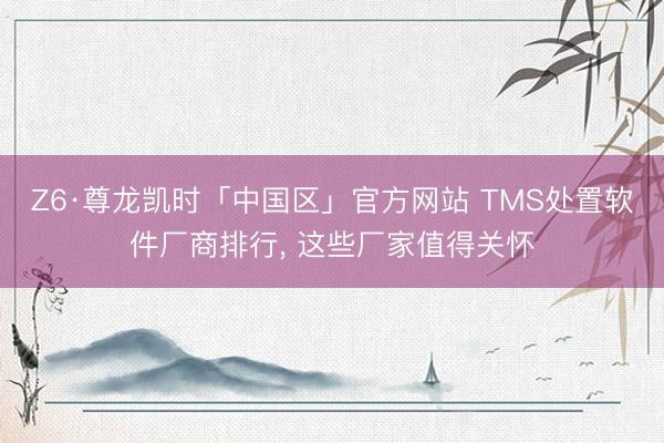 Z6·尊龙凯时「中国区」官方网站 TMS处置软件厂商排行， 这些厂家值得关怀