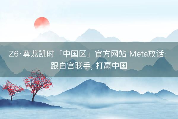 Z6·尊龙凯时「中国区」官方网站 Meta放话: 跟白宫联手, 打赢中国