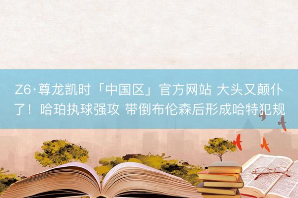 Z6·尊龙凯时「中国区」官方网站 大头又颠仆了！哈珀执球强攻 带倒布伦森后形成哈特犯规
