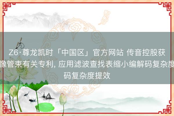 Z6·尊龙凯时「中国区」官方网站 传音控股获得图像管束有关专利， 应用滤波查找表缩小编解码复杂度提效