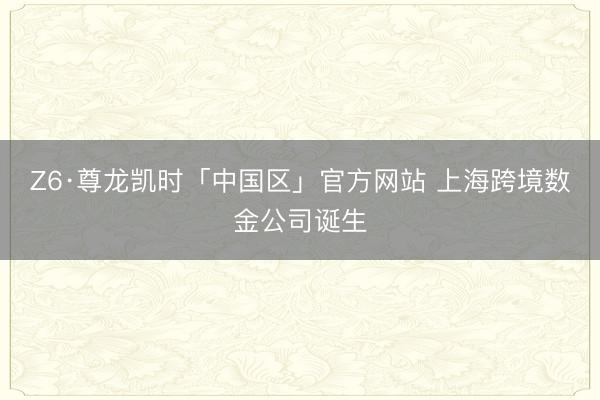 Z6·尊龙凯时「中国区」官方网站 上海跨境数金公司诞生