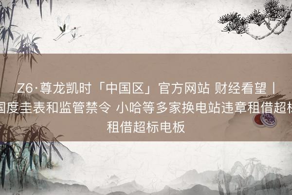 Z6·尊龙凯时「中国区」官方网站 财经看望丨无视国度圭表和监管禁令 小哈等多家换电站违章租借超标电板