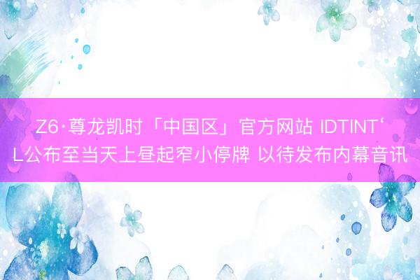 Z6·尊龙凯时「中国区」官方网站 IDTINT‘L公布至当天上昼起窄小停牌 以待发布内幕音讯