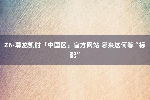 Z6·尊龙凯时「中国区」官方网站 哪来这何等“标配”