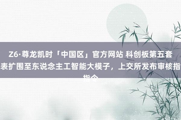 Z6·尊龙凯时「中国区」官方网站 科创板第五套圭表扩围至东说念主工智能大模子,上交所发布审核指令