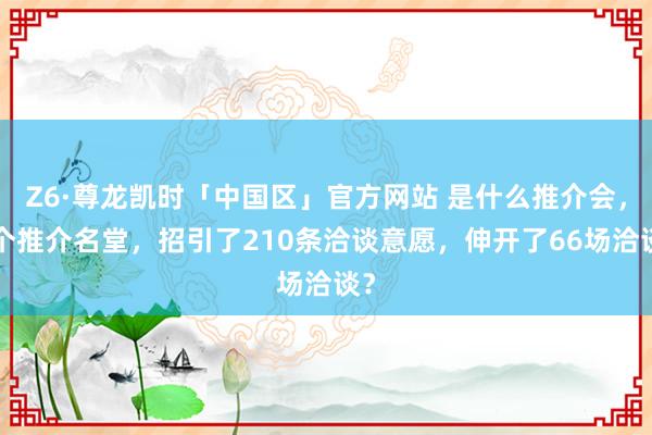 Z6·尊龙凯时「中国区」官方网站 是什么推介会，9个推介名堂，招引了210条洽谈意愿，伸开了66场洽谈？